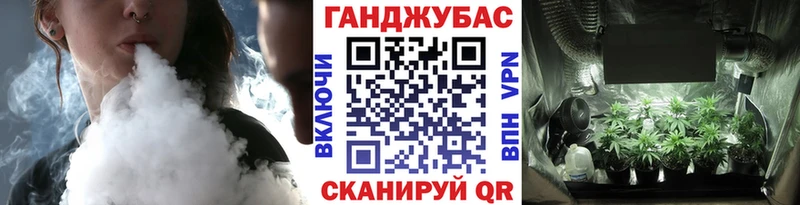 Бошки Шишки марихуана  Сунжа 